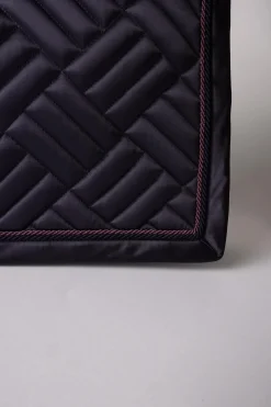 Aachen Dressurschabrake