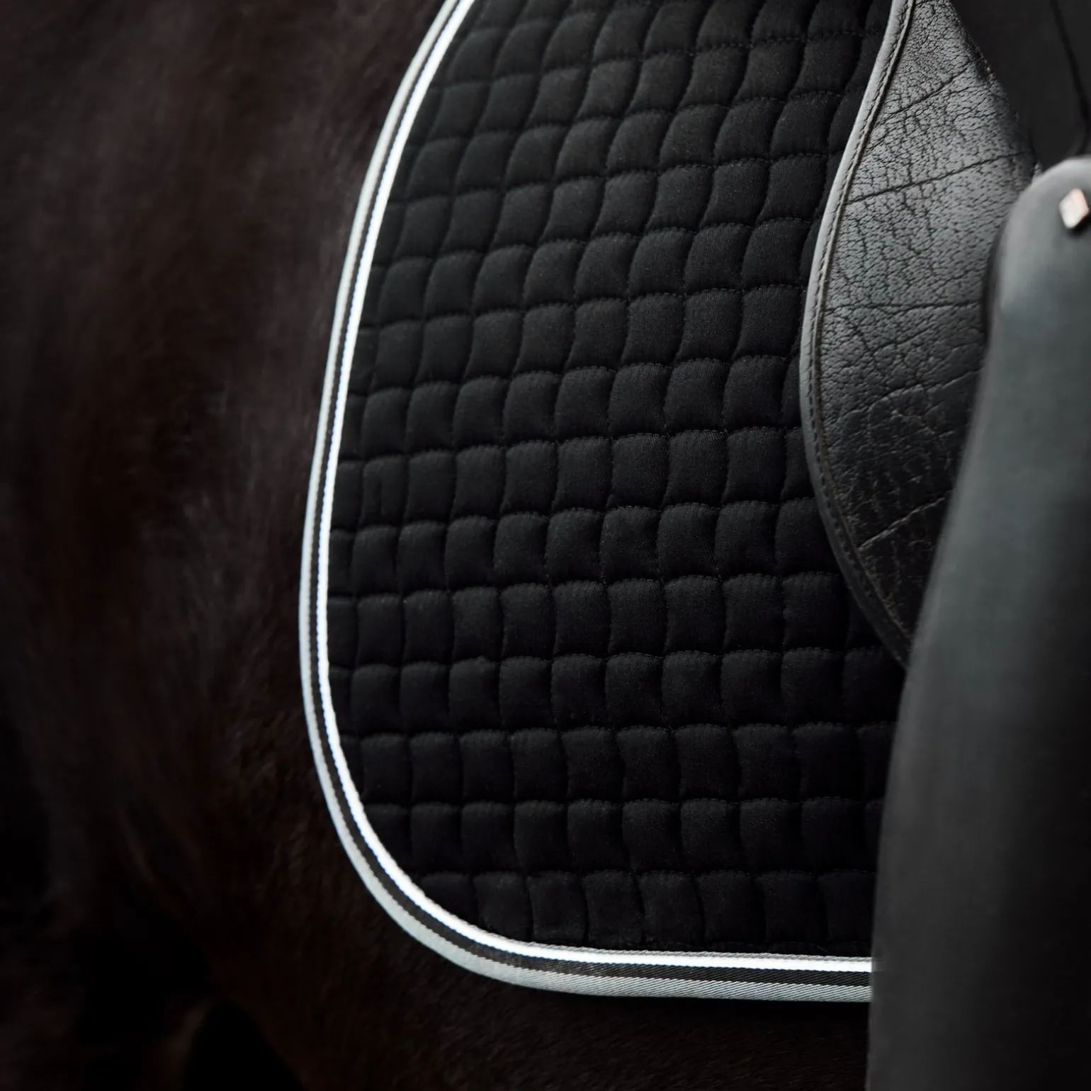 Adepto Dressurschabracke