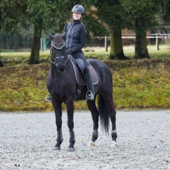 Adepto Streichkappen