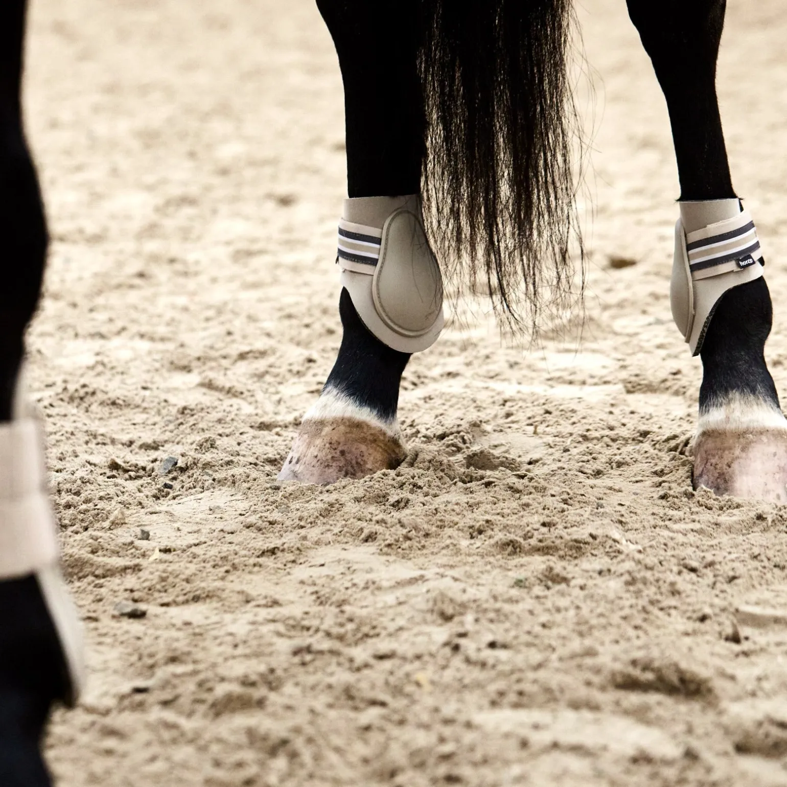 Adepto Streichkappen