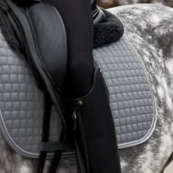 Adepto Vielseitigkeitsschabracke