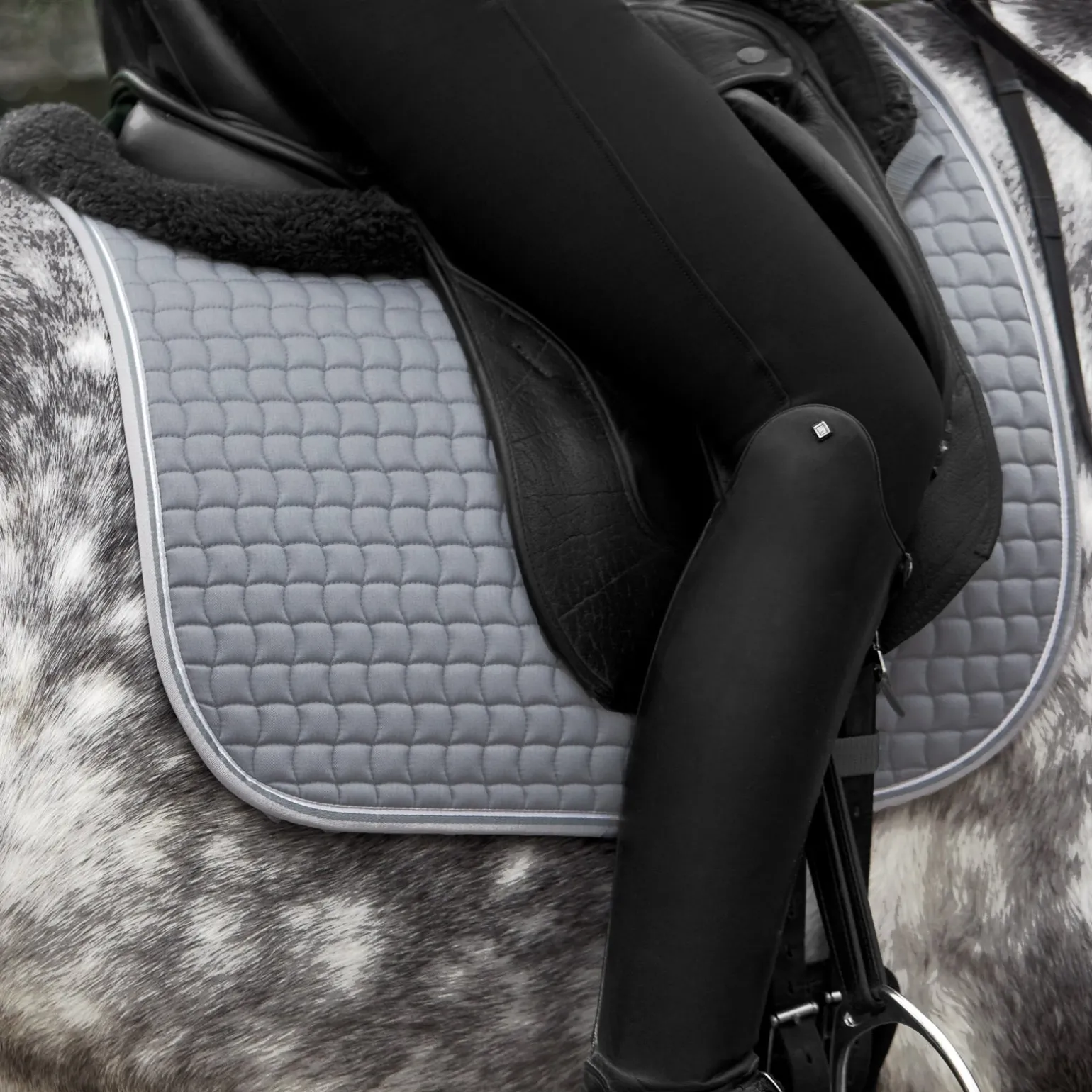 Adepto Vielseitigkeitsschabracke