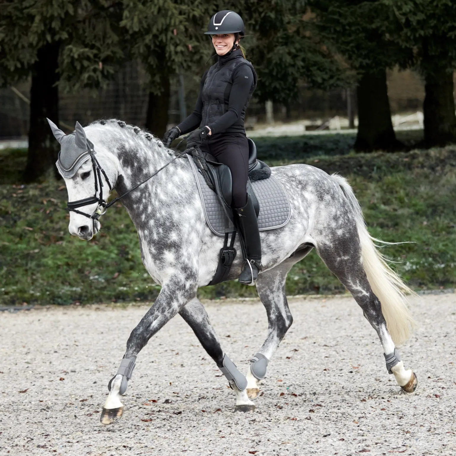 Adepto Vielseitigkeitsschabracke