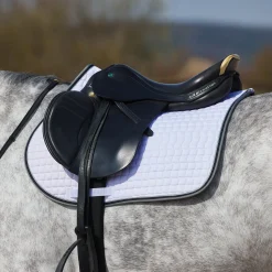 Adepto Vielseitigkeitsschabracke