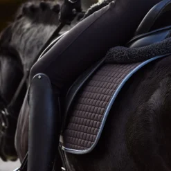 Adepto Vielseitigkeitsschabracke