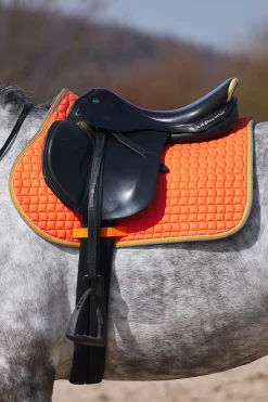 Adepto Vielseitigkeitsschabracke