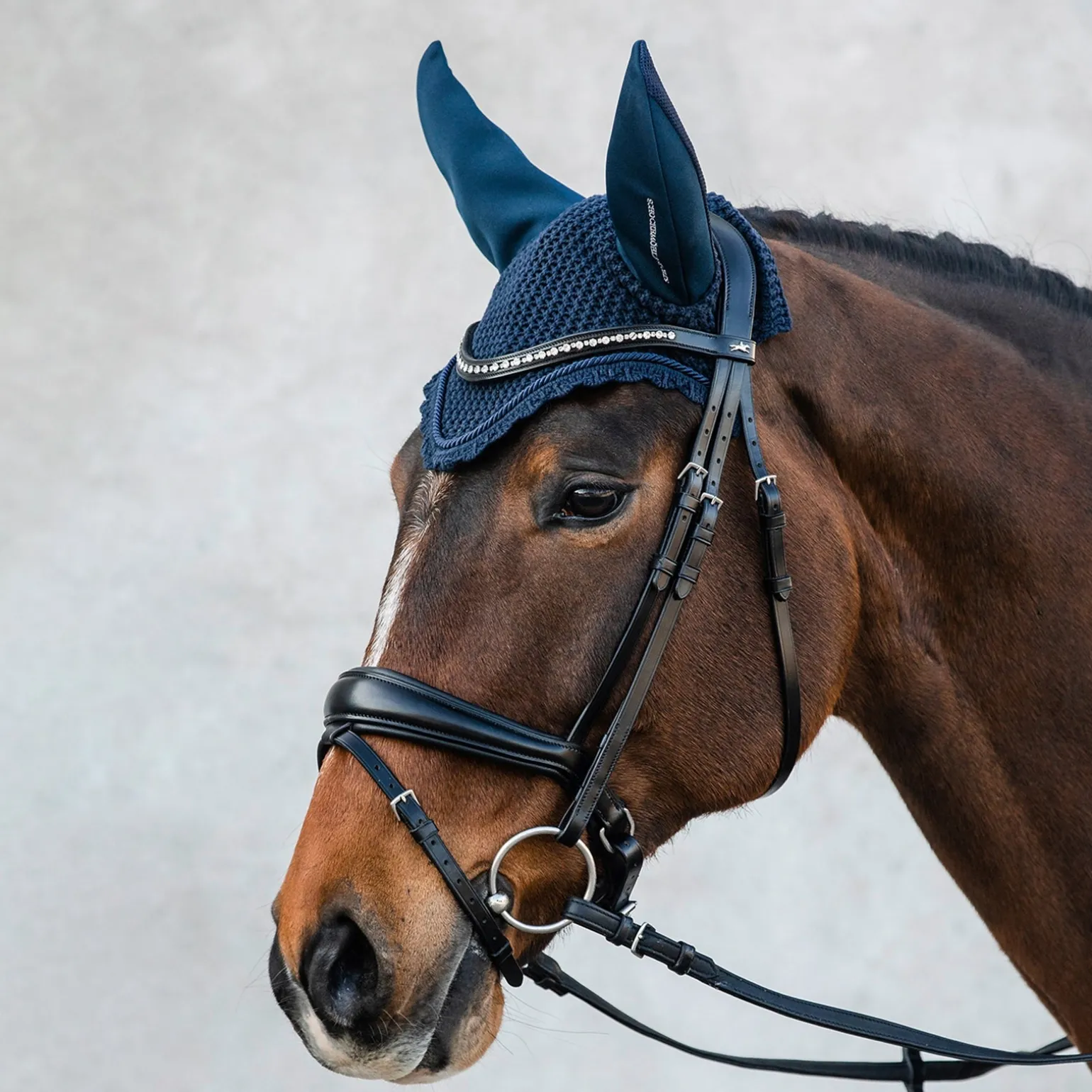 Air Silent Fliegenohren