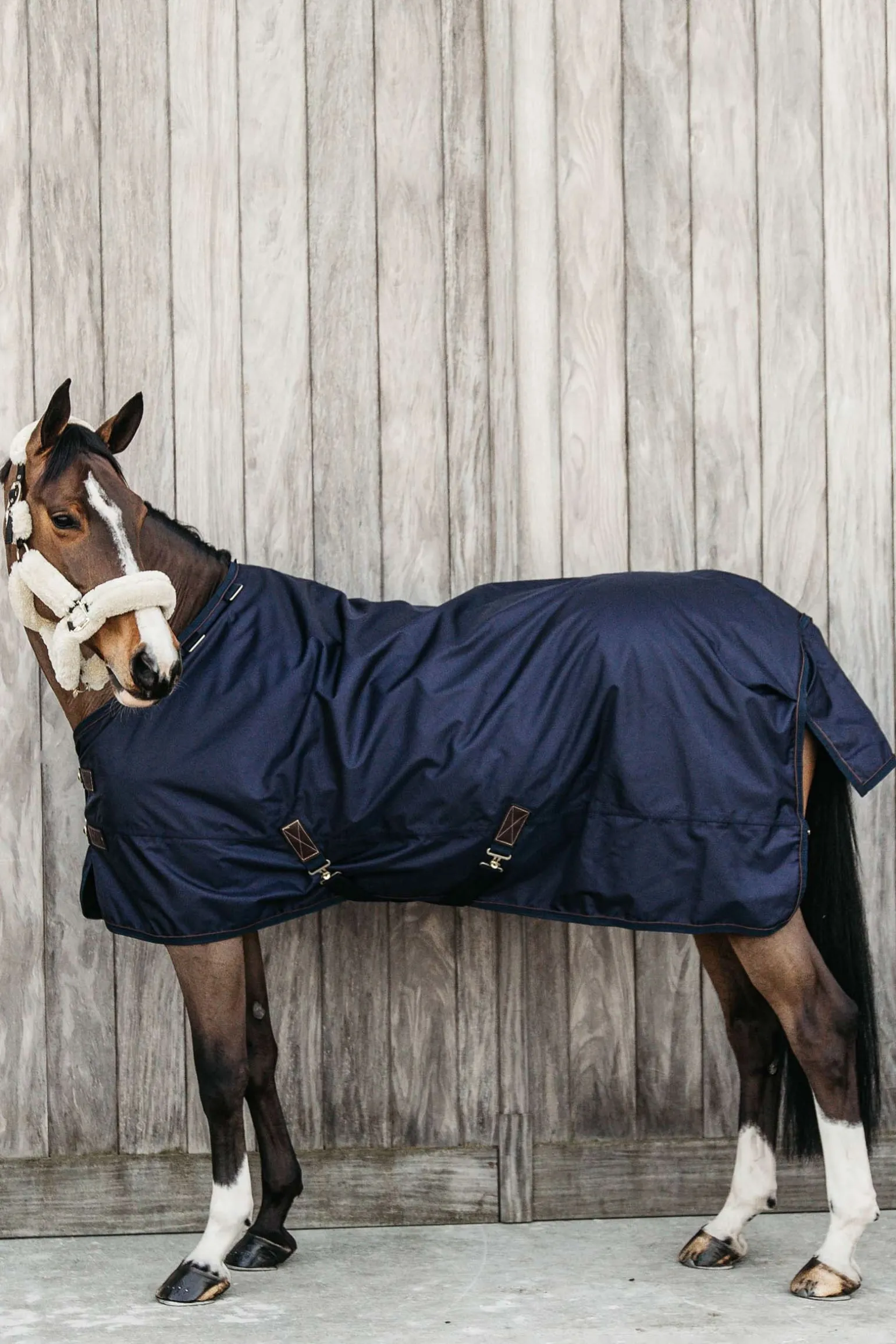 All Weather Weidedecke, 160g