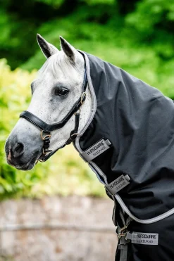 Amigo Bravo 12 Plus 100g