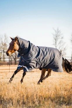 Amigo Bravo 12 Plus Weidedecke mit abnehmbarem Hals, 400g