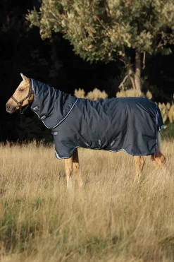 Amigo Bravo 12 Plus Weidedecke mit abnehmbarem Hals, 400g