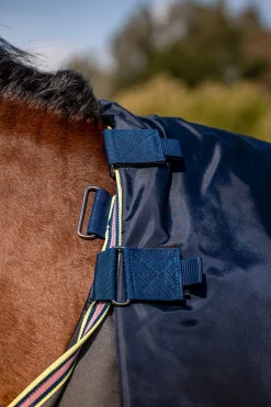 Amigo Bravo 12 Plus Weidedecke mit abnehmbarem Halsteil, 0g