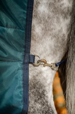 Amigo Diamond Insulator Stalldecke, 100 g