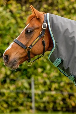 Amigo Hero Ripstop Plus Weidedecke mit abnehmbarem Hals, 200g