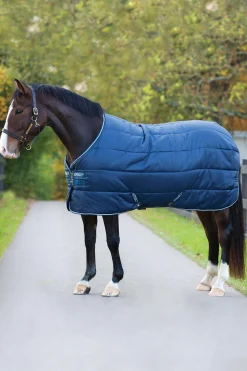 Amigo Insulator Stalldecke, 100g