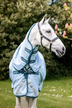 Amigo Plant Dye Weidedecke, 50g