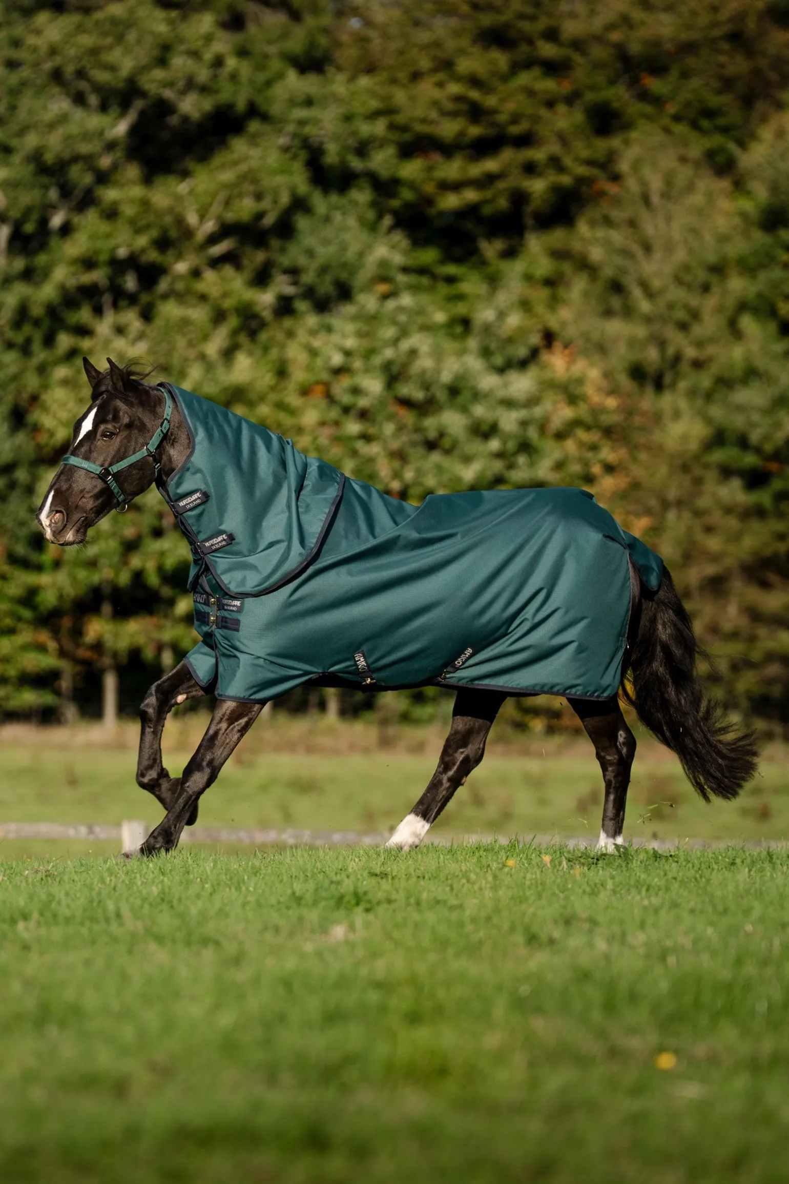 Amigo Ripstop 900D Plus Outdoordecke für Ponys, 100 g