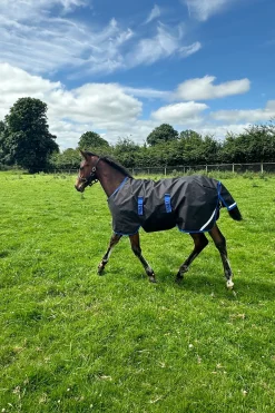 Amigo Ripstop 900D Weidedecke für Fohlen 50g