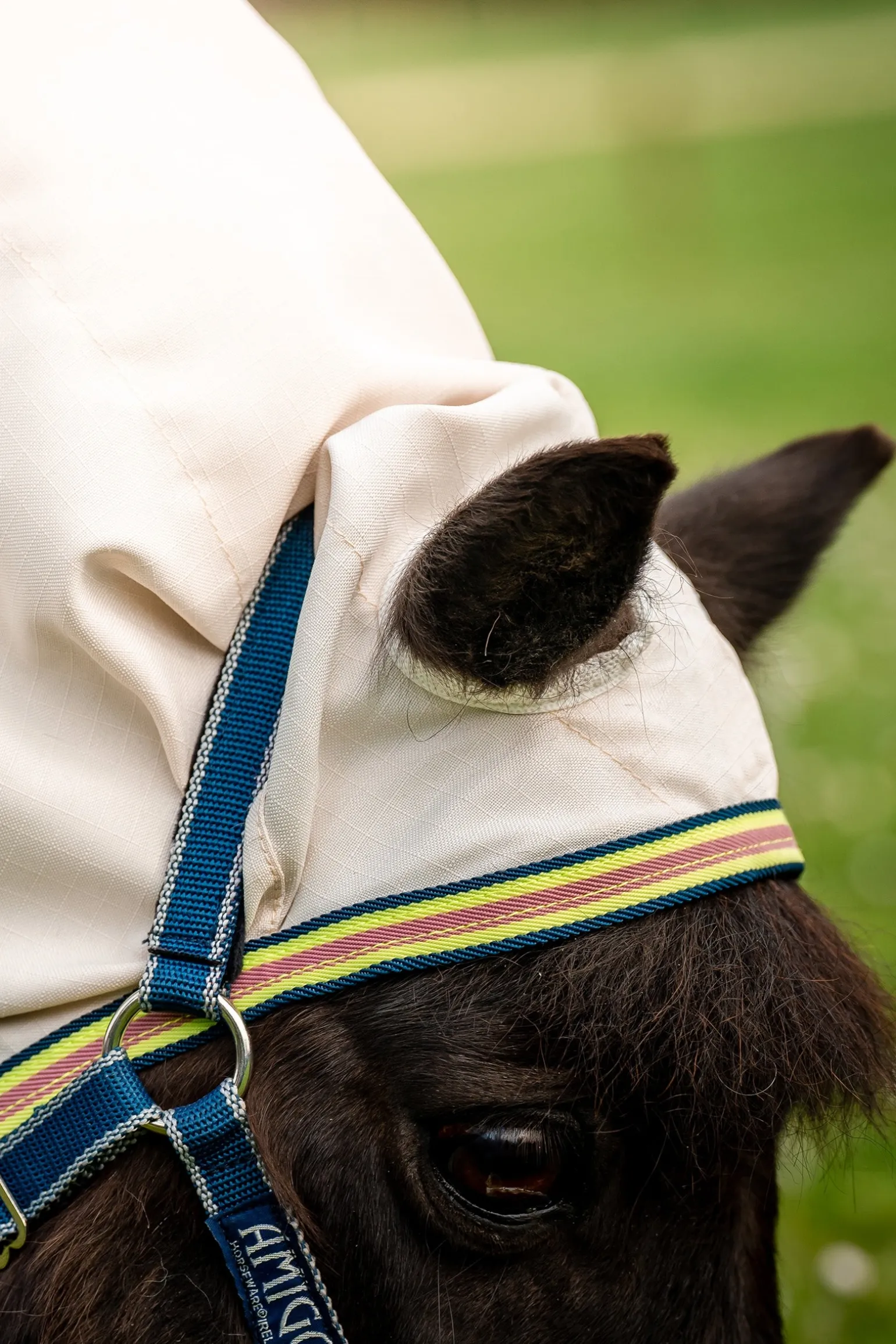 Amigo Ripstop Hoody Petite, Fliegendecke