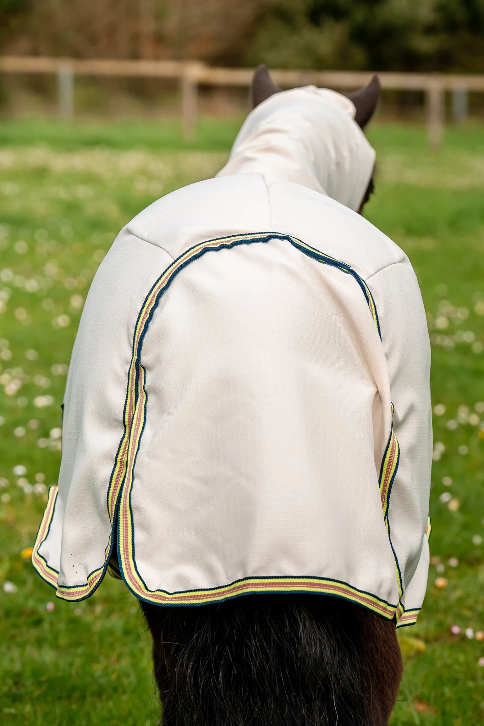 Amigo Ripstop Hoody Petite, Fliegendecke