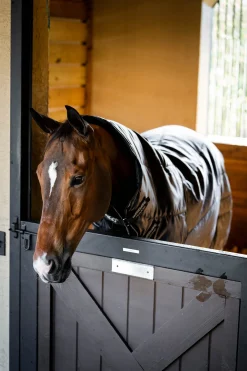 Amigo Ripstop Insulator Plus Stalldecke, 200 g