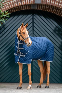 Amigo Stepp-Stalldecke Plus, 200 g