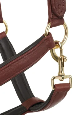 Anatomisches Lederhalfter