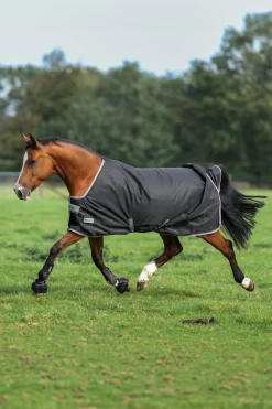 Anniversary SD leichte Regendecke, 0g