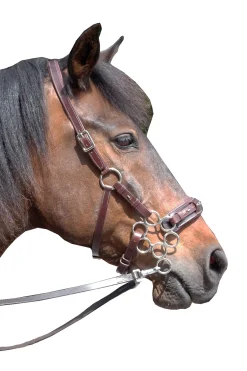 Aram Hackamore (System 2) Leather, Jaw Straps, w/ Scissors