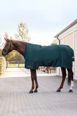 Arctic Outdoor Rug, 100 g