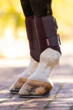 Arika Mesh Dressurgamaschen