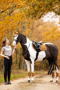 Arika Mesh Dressurgamaschen