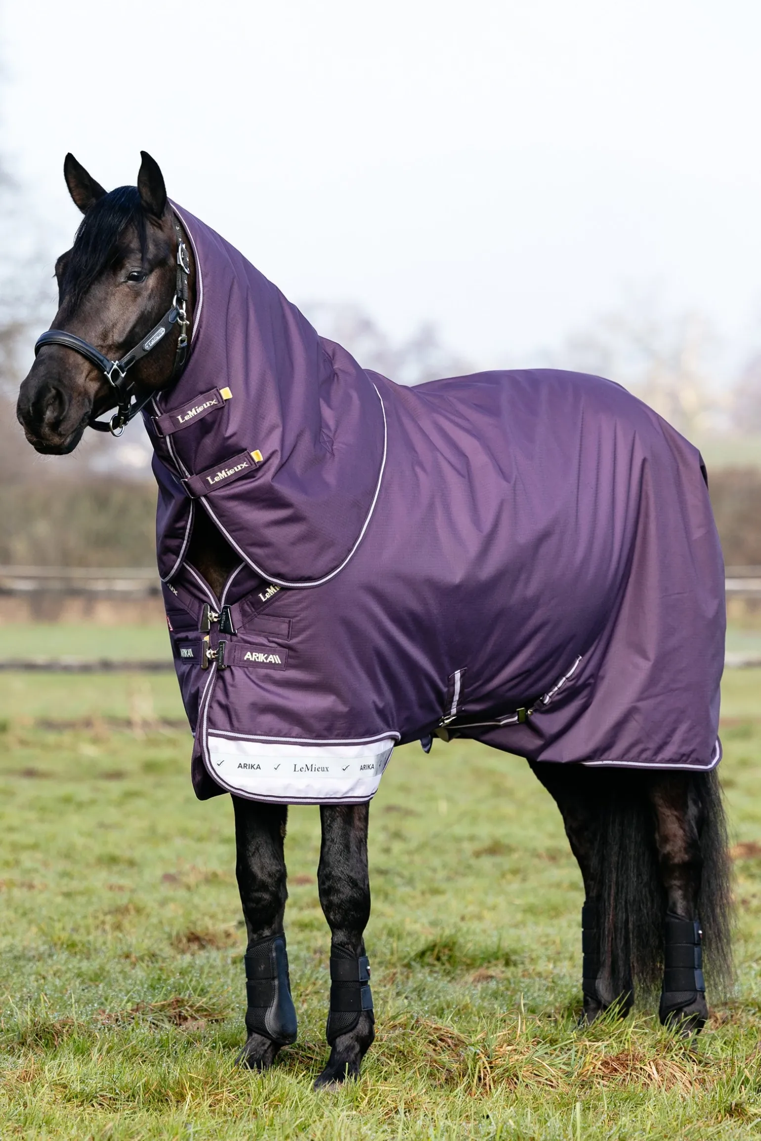 Arika Ripstop Weidedecke mit abnehmbarem Halsteil, 100 g