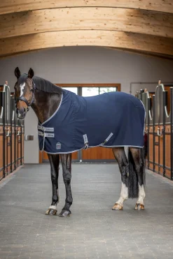 Arika Stalldecke