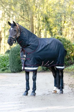 Arika Storm-Tek Weidedecke mit abnehmbarem Halsstück, 200 g