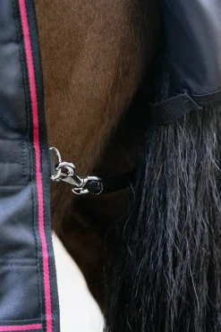 Arika Storm-Tek Weidedecke mit abnehmbarem Halsstück, 200 g