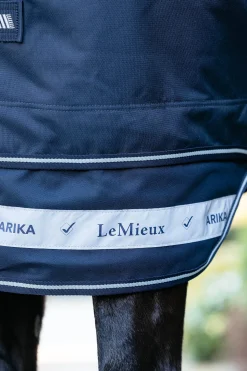 Arika Storm-Tek Weidedecke mit abnehmbarem Halsstück, 200 g