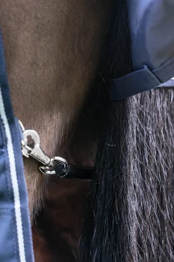 Arika Storm-Tek Weidedecke mit abnehmbarem Halsstück, 200 g