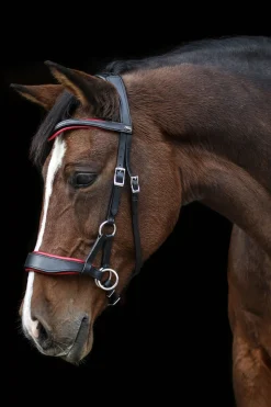 Aruba gebisslose Trense mit Zügeln (System 3)