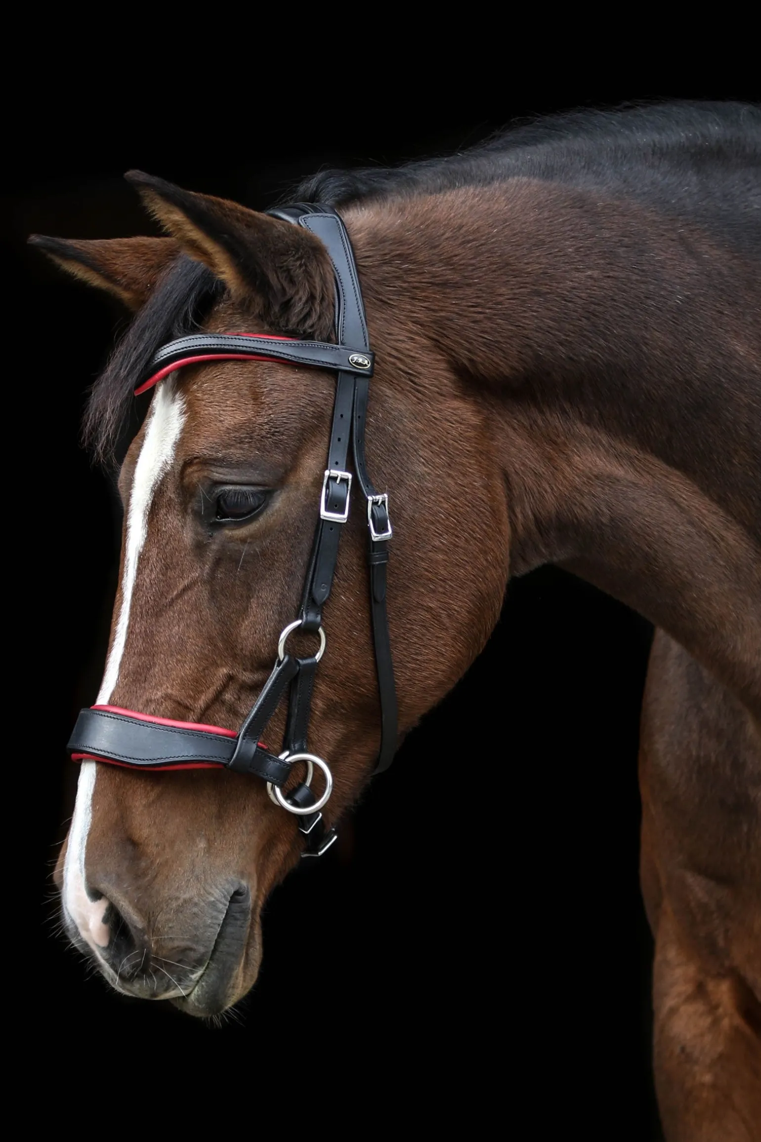 Aruba gebisslose Trense mit Zügeln (System 3)