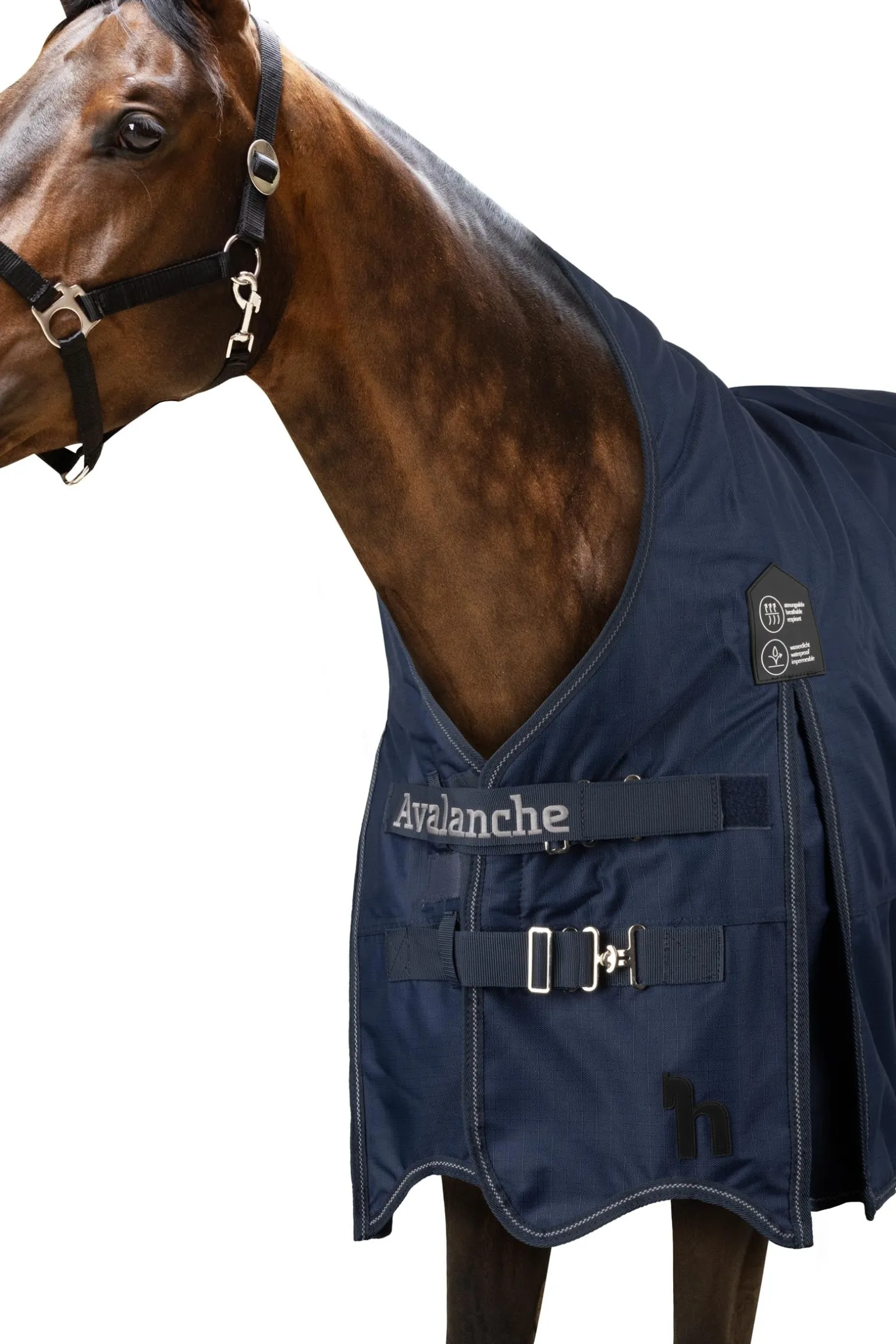 Avalanche Regendecke mit hohem Hals, 150g