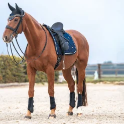 Back on Track Nights Collection Schabracke Dressur