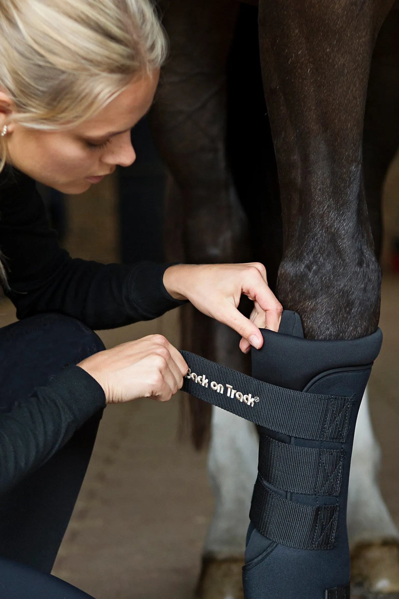 Back On Track Quick Royal Stallgamaschen