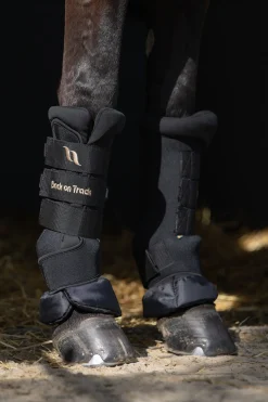 Back On Track Quick Royal Stallgamaschen