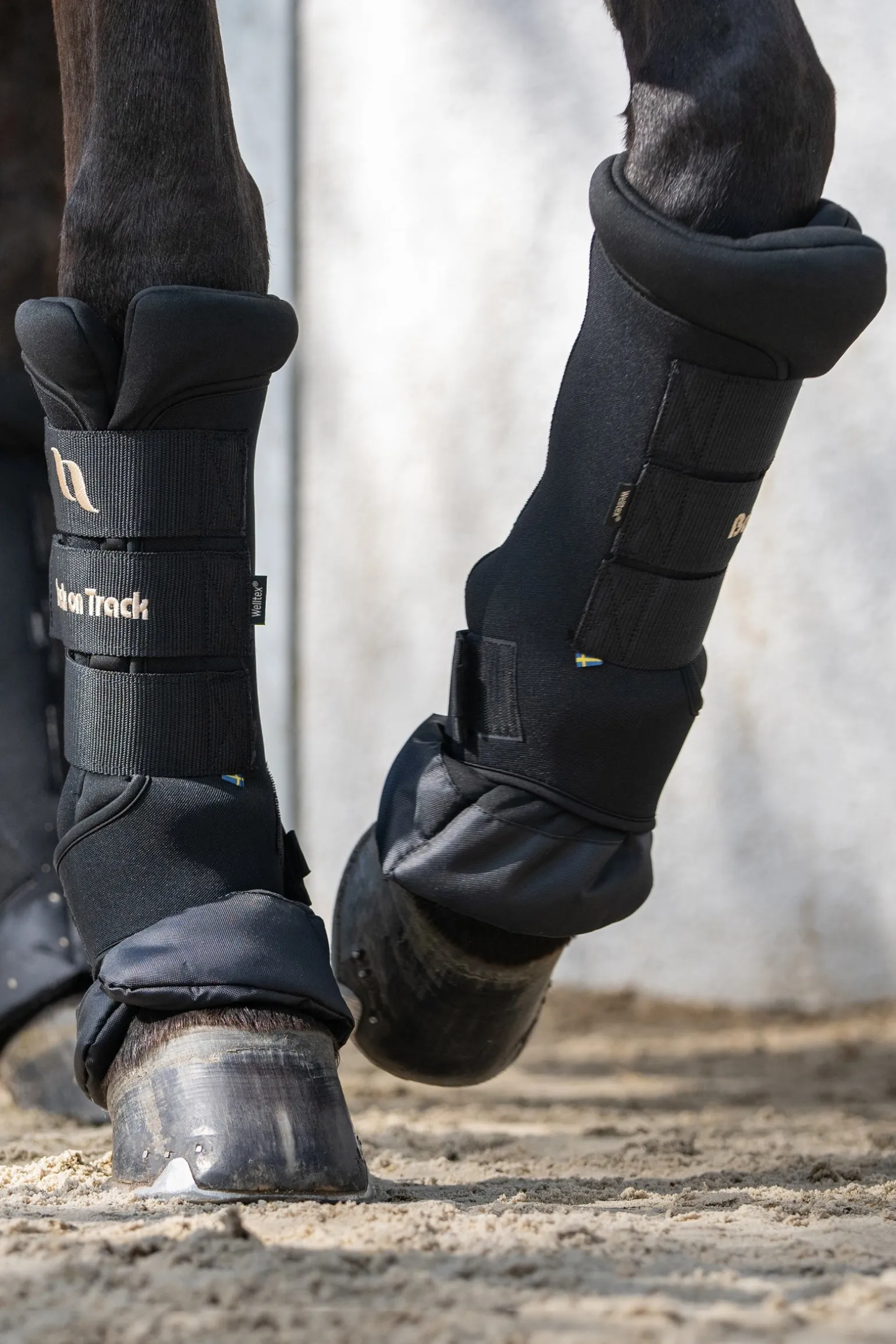 Back On Track Quick Royal Stallgamaschen