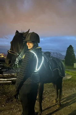 Ballistic High Visibility FlexFit Rückenprotektor, wendbar