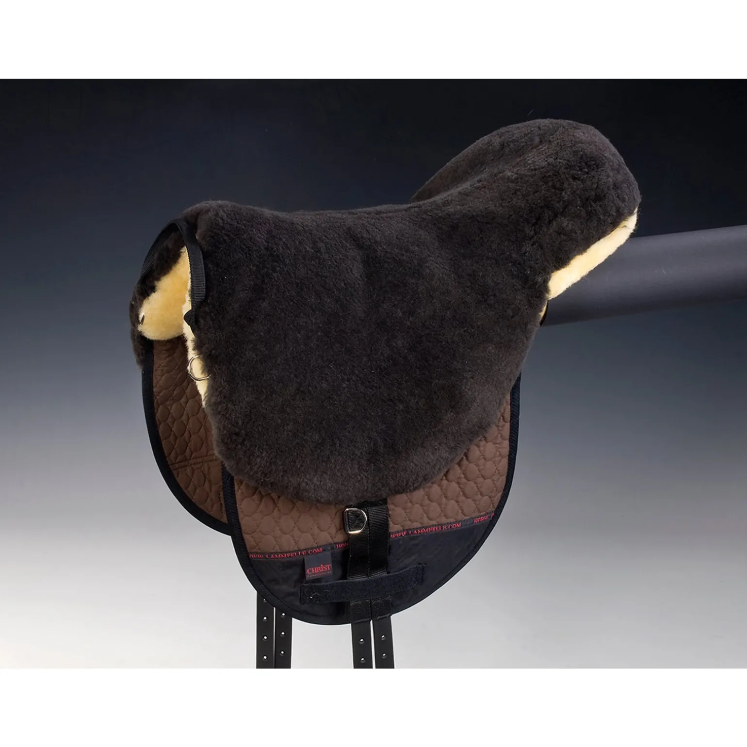 Bareback riding Basic Plus, SH