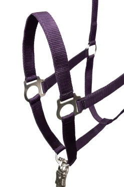 Basic Halfter & Führstrick mit Panikhaken