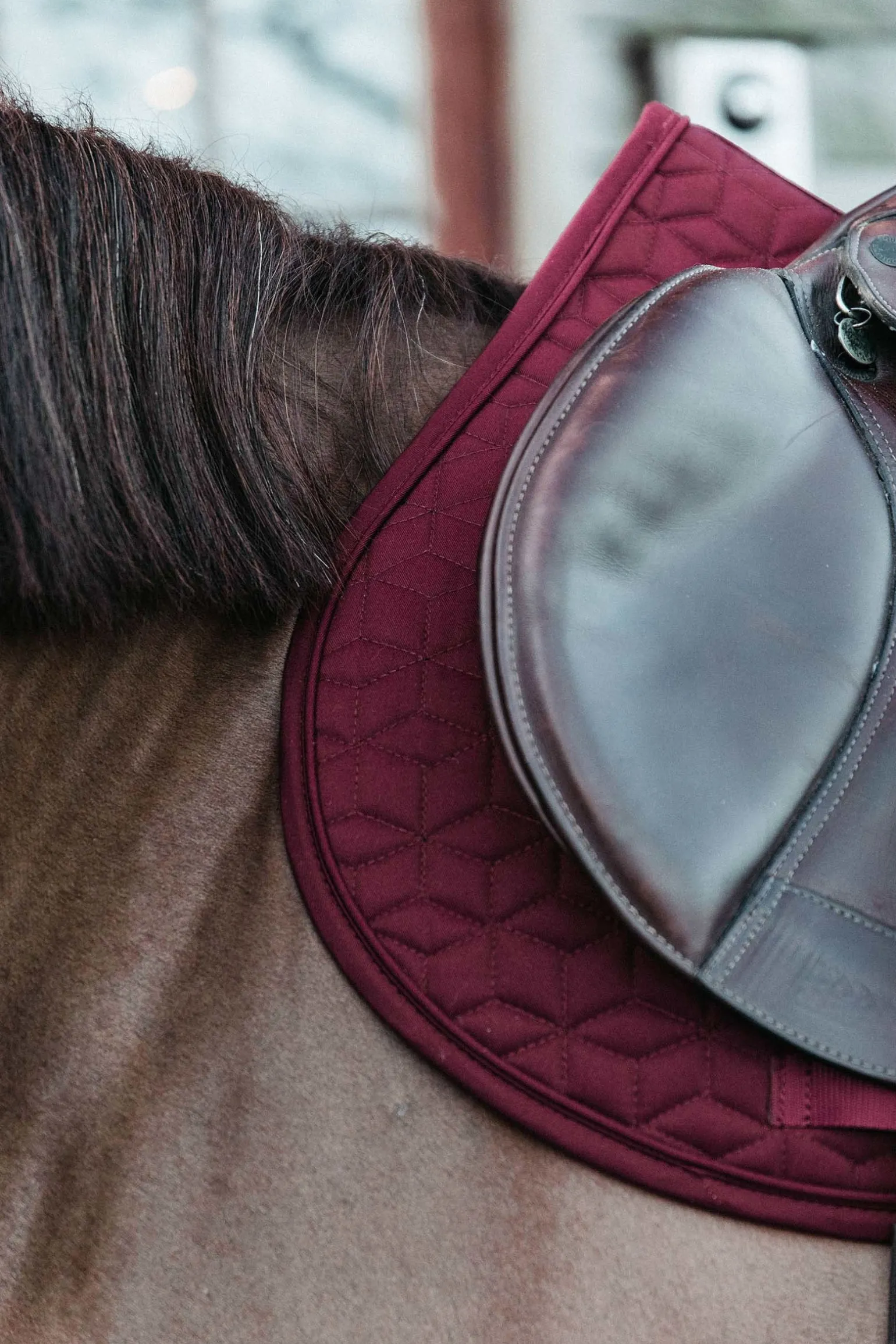 Basic Springschabracke