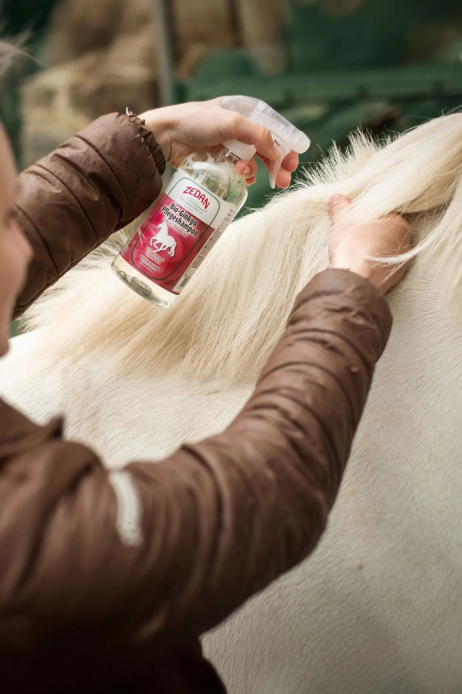 Bio-Ginkgo Pflegeshampoo, 500ml